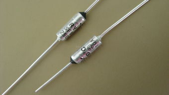 德國SCHURTER保險(xiǎn)絲